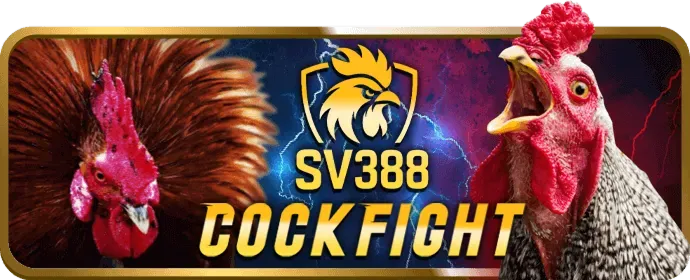 Cấp Độ VIP Bạc nani88